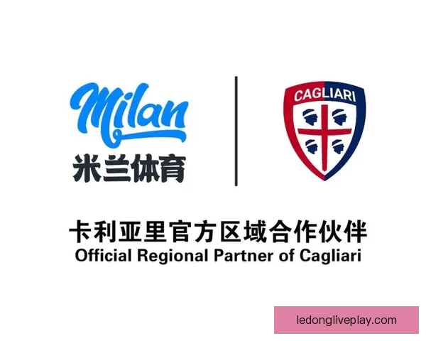 乐动体育平台注册流程详细解析 助你轻松开启体育娱乐之旅