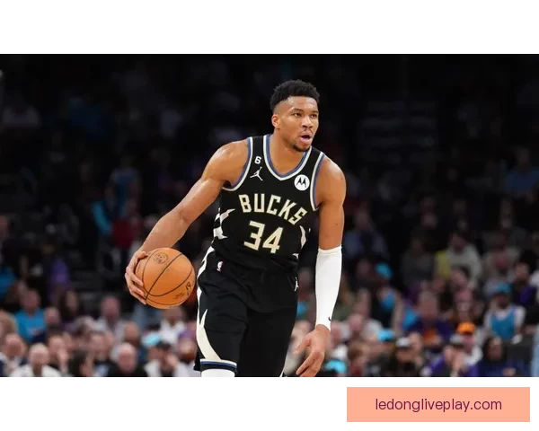 NBA东西部前十揭晓榜首竞争白热化雄鹿领衔十队无缘季后赛
